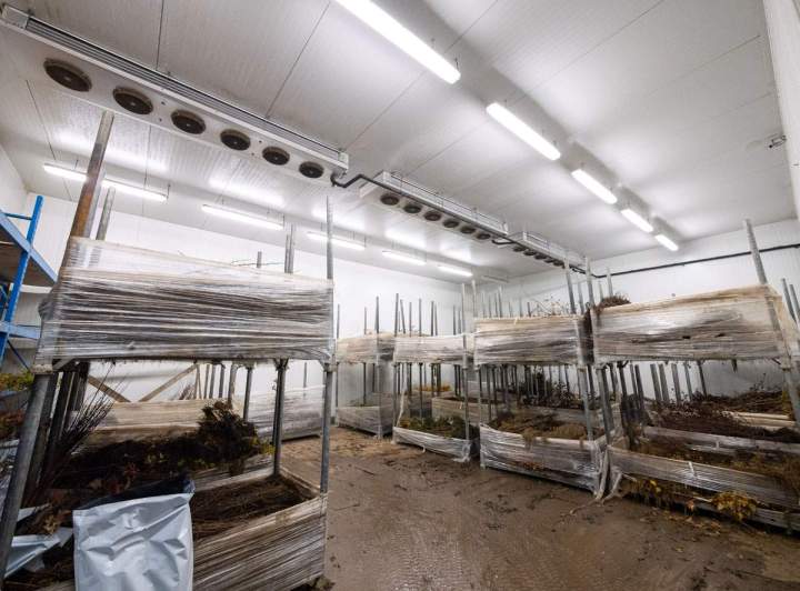 Des solutions performantes pour votre système de froid industriel